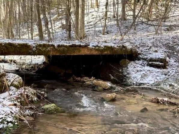 Pete Creek Rd, Flag Pond, TN 37657
