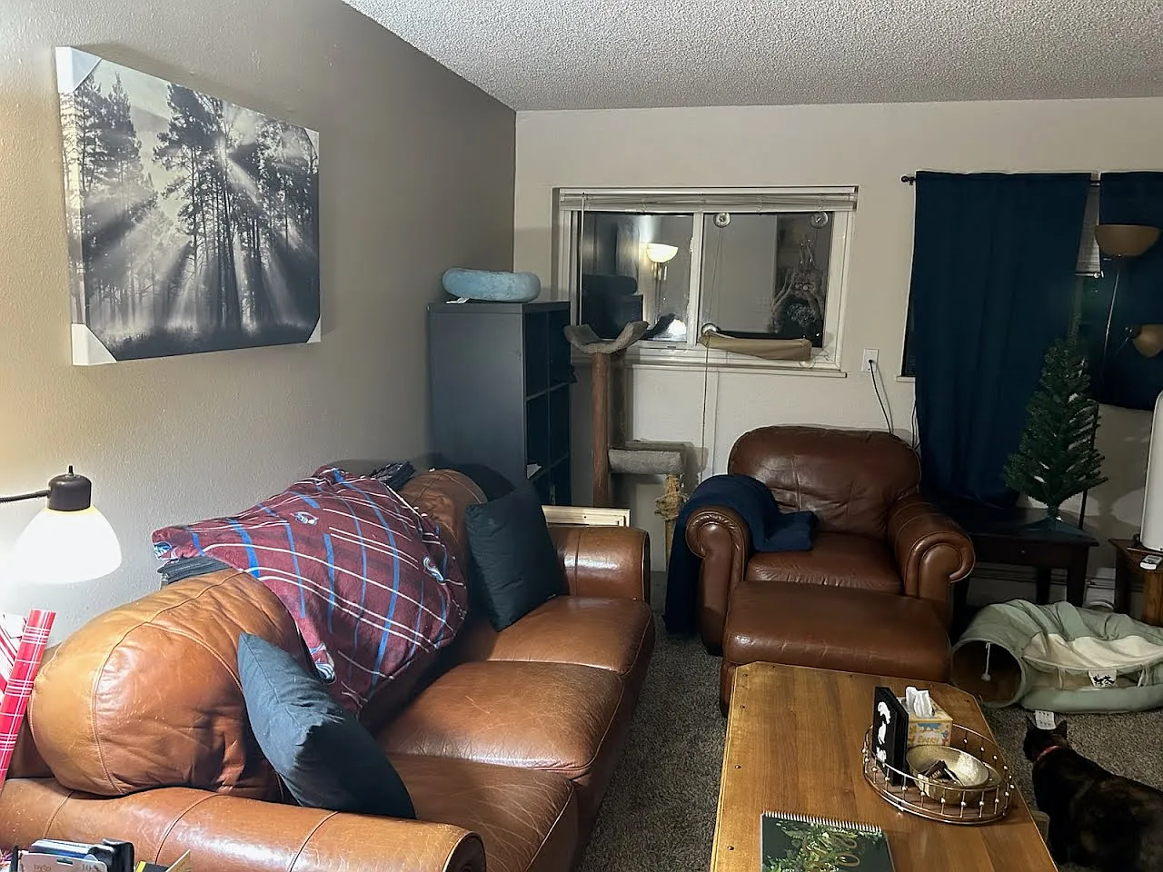 3 bed, 1050 sqft, $950 — Photo 2