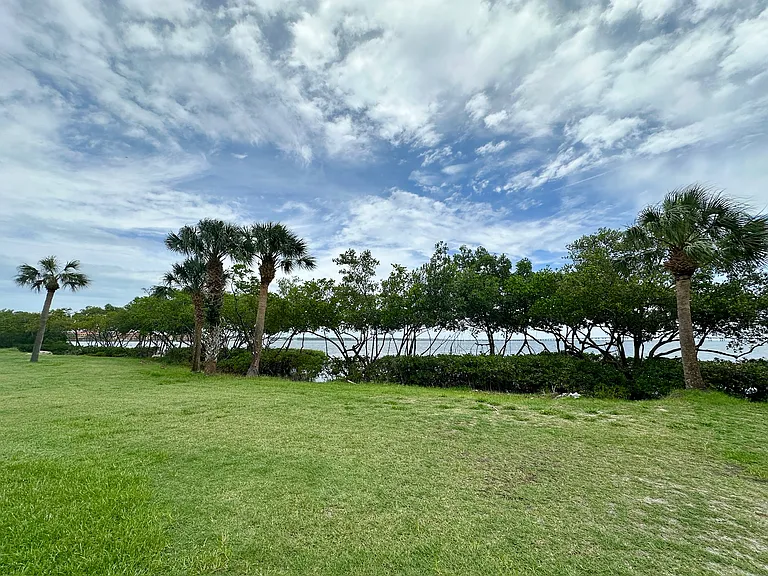 2617 Cove Cay Dr #1-311 — Photo 54