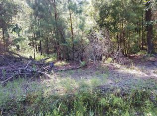 1467 Hiers Corner Rd, Walterboro, SC 29488