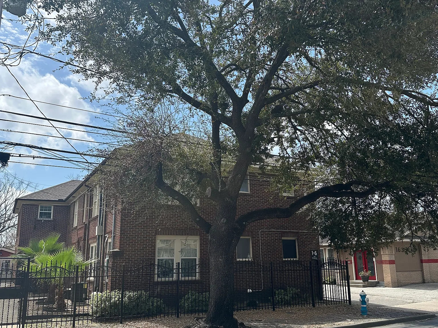 1 bed, 780 sqft, $1,200 — Photo 3
