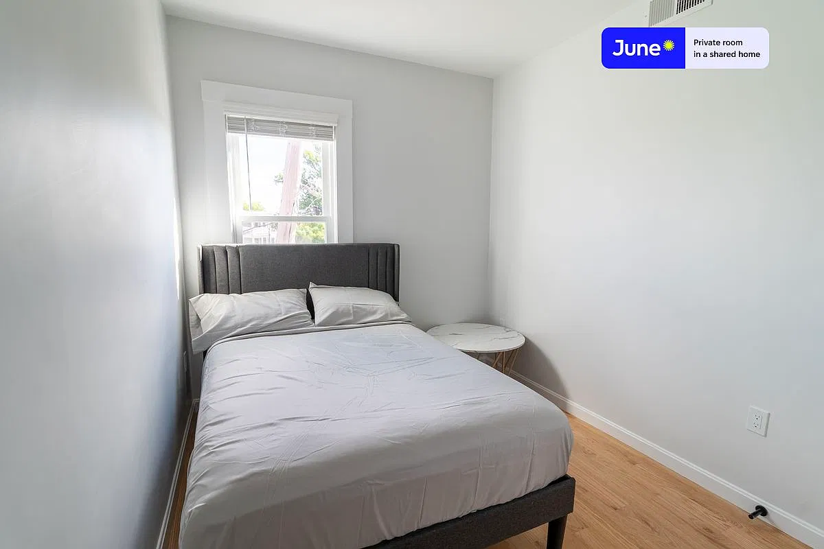 Full bedroom in 3 bed/2 bath home in JFK/UMass #1756 C — Photo 2