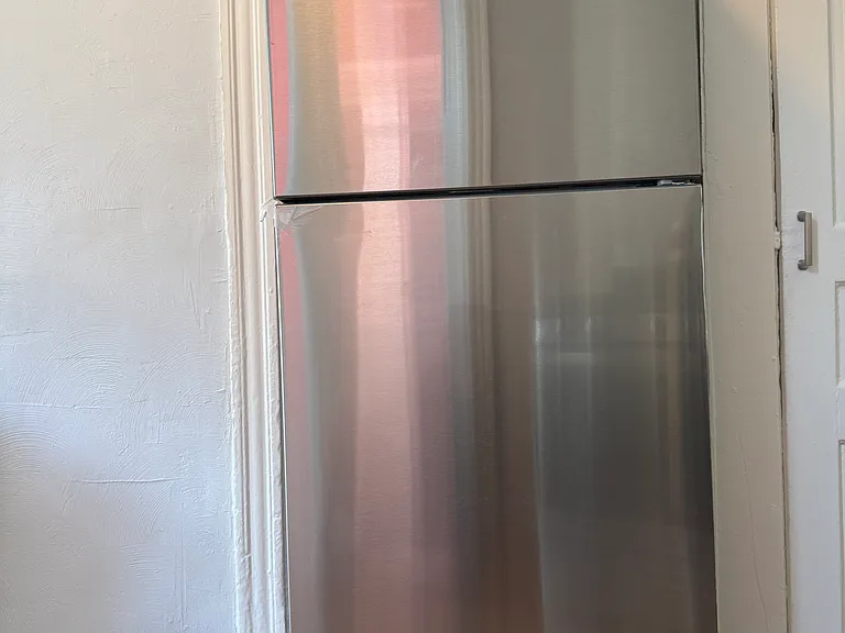 New stainless refrigerator (pantry on right)