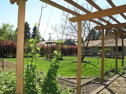 Plenty of Room to Garden