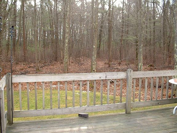 deck overlooks woods