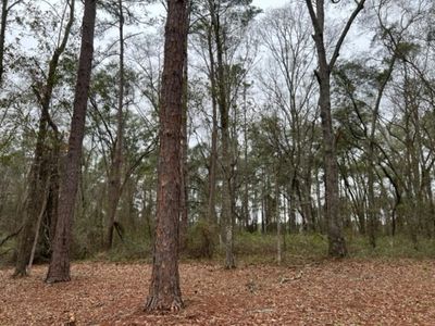 Vacant East St #1, Greenville, FL, 32331