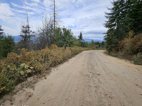 2407 Crystal Peak Rd, Fernwood, ID 83830