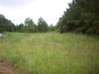 75 County Road 75, Eufaula, AL, 36027