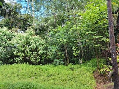 15-2701 Maiko St, Pahoa, HI, 96778