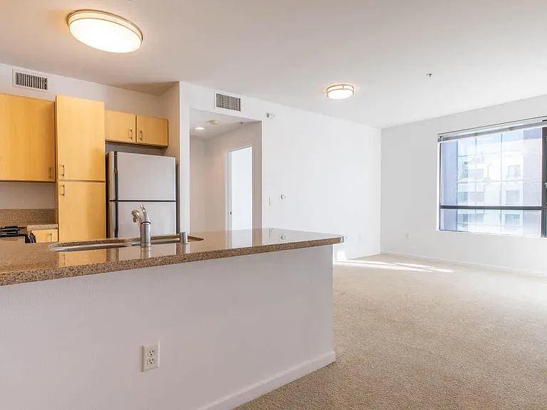 Kitchen and Living Area