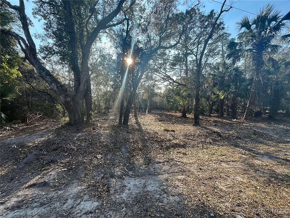 1st image of 9022 N Cacalia Dr