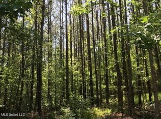 Highway 43, Carthage, MS 39051