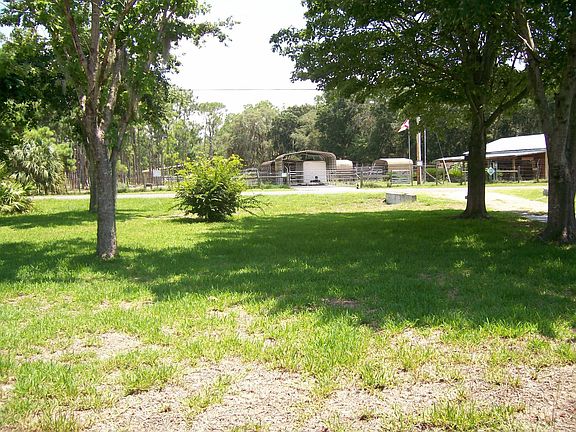 Back yard