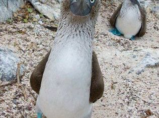 700 Stillwater Bridge Rd, Schaghticoke, NY 12154