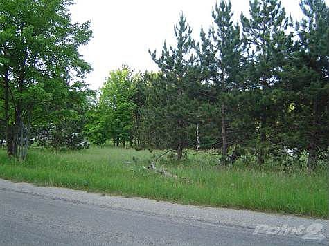 horses & outbuildings allowed