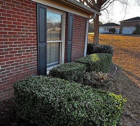 5th image of 110 Berry Patch Ln