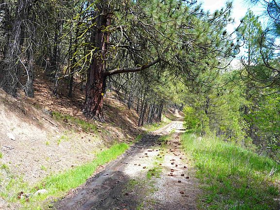 4th image of Lots 28 27 26 Fire Ridge Rd