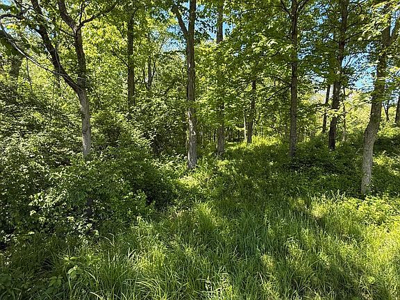5th image of 8469 McCulley Ln