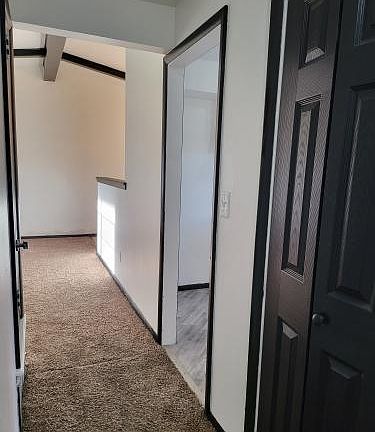 4th image of 3309 Chetwood Dr