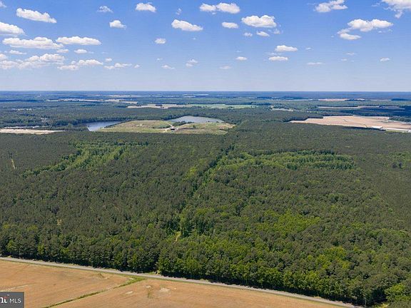3rd image of Basket Switch Rd