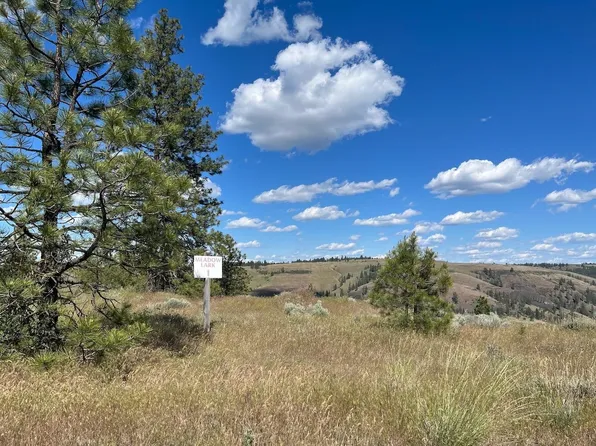 31805 Ruffed Grouse Dr E, Davenport, WA 99122