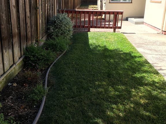front sideyard