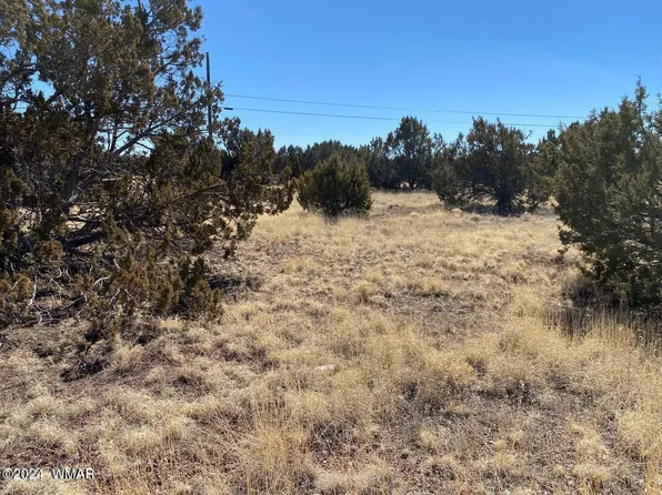 8465 Snowflake Cir, Show Low, AZ 85901