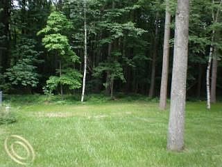 4th image of 4316 Old Forge Dr