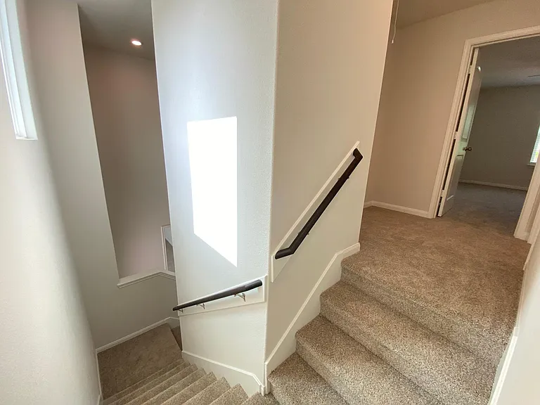 6409 Texas Bluebell Dr — Photo 22