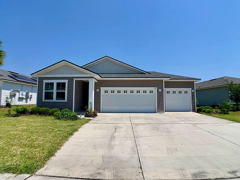 1499 Tropical Pine Cv — Photo 3