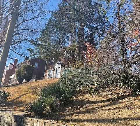 front yard
