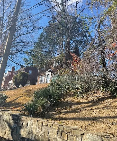 front yard