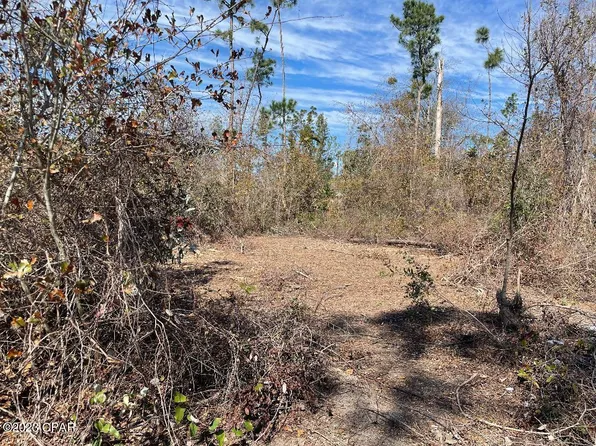 0 NW Stone Ave, Altha, FL 32421