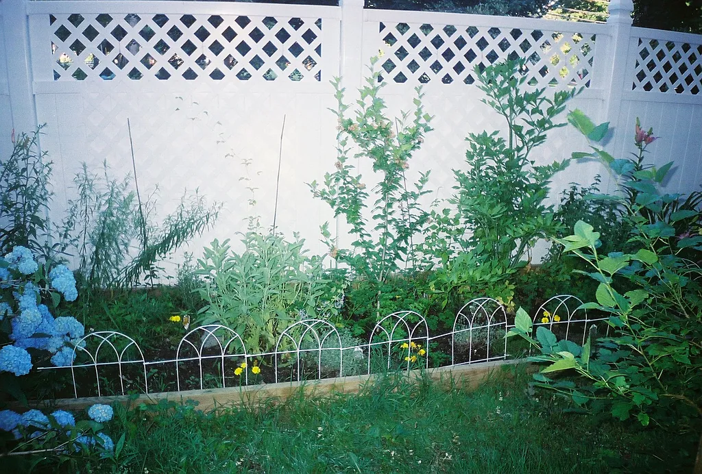 Property photo 5