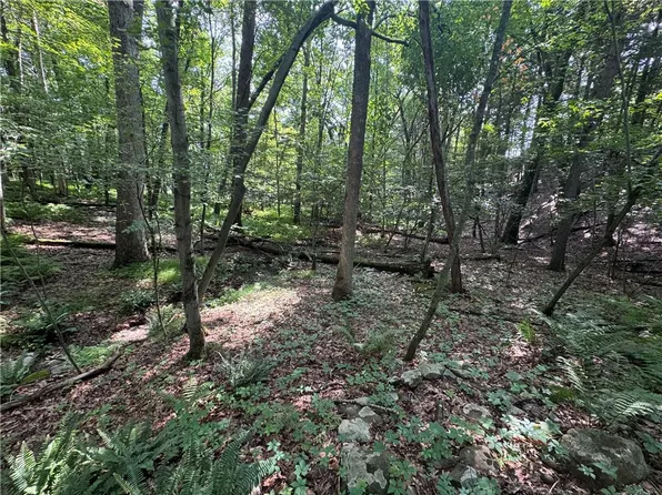 Par Dr, Kunkletown, PA 18058