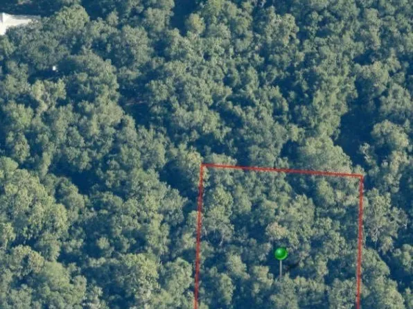 12795 W Flaxen Dr, Crystal River, FL 34428