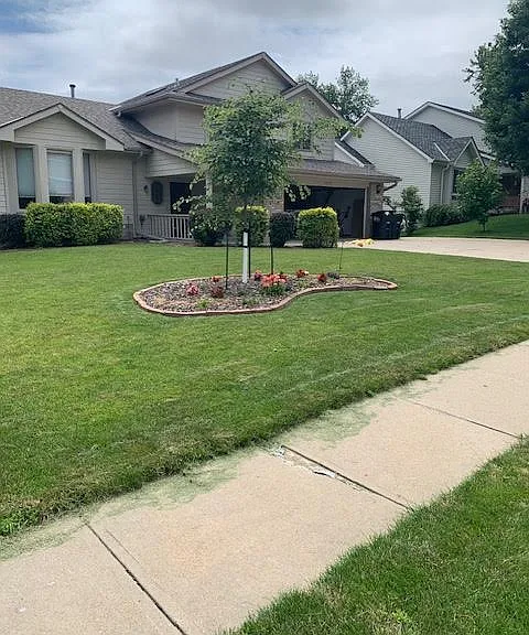 Front of Home with Tree