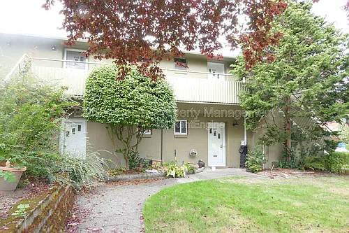 4804 Terrace Dr NE #4804 Photo 1