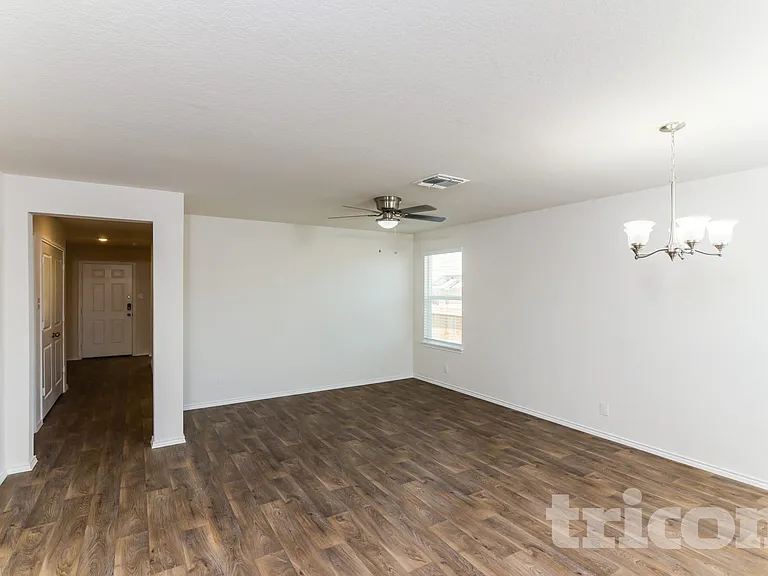 15406 Shortwing — Photo 3