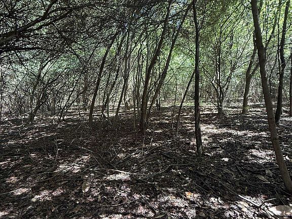 4th image of TBD Black Branch Rd. Lot 1