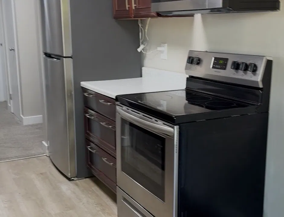 Stainless steel appliances including dishwasher, fridge, stove and microwave.