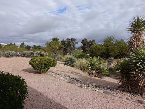 Desert beauty at its best