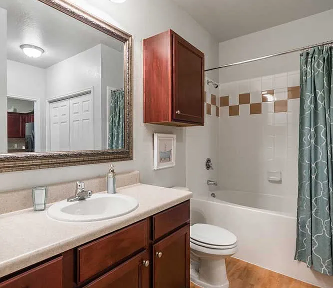 Plantation Apartments — Photo 52