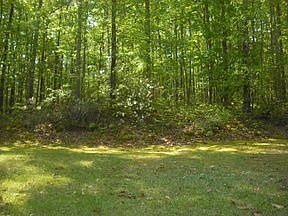 4th image of 4015 Jamaica Dr