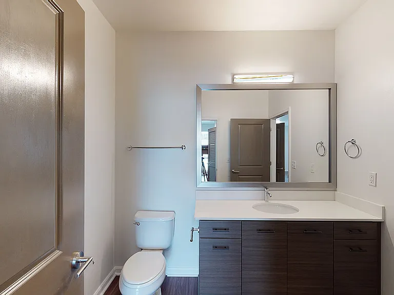 Apartment bathroom with wood-style flooring.
