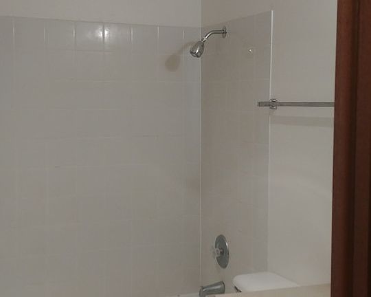 5th image of 114 N Lilly St #341