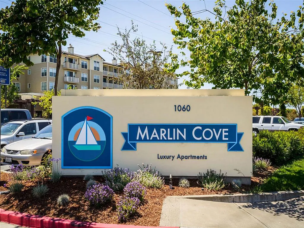 Primary Photo - Marlin Cove