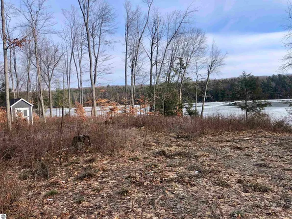 0 SE Torch Lake Dr, Alden, MI 49612