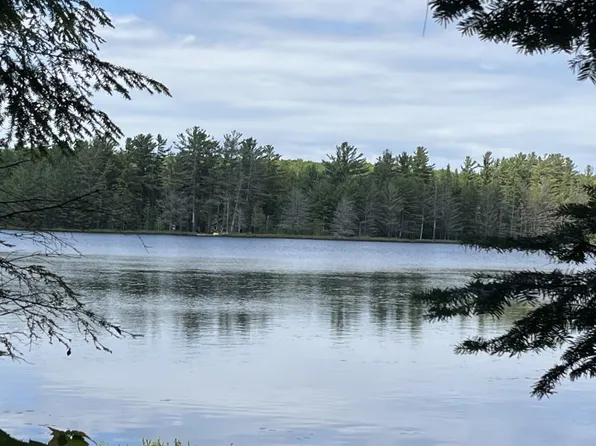 0 S Chesbrough Lake Rd, Newberry, MI 49868