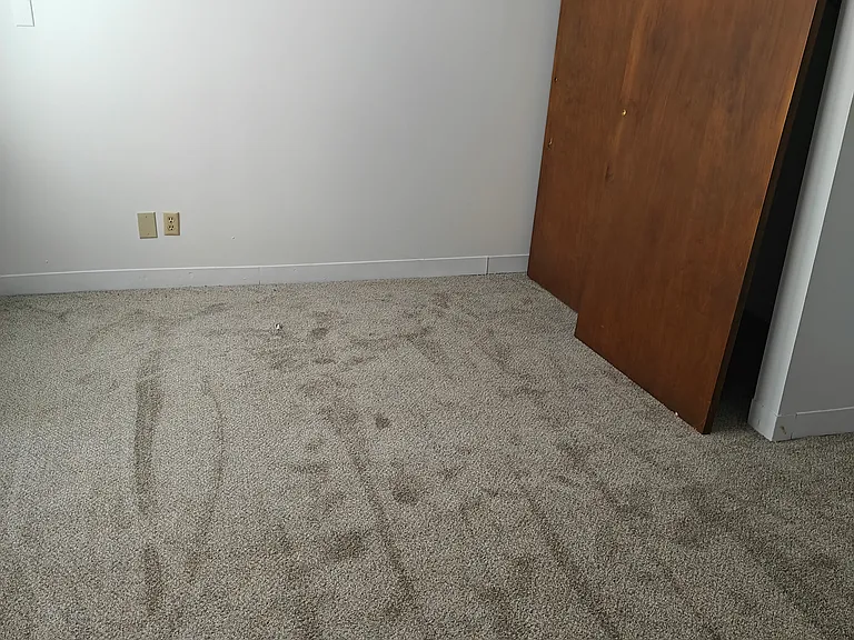 217 Muse St #402 — Photo 16